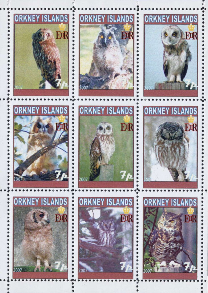 Owls