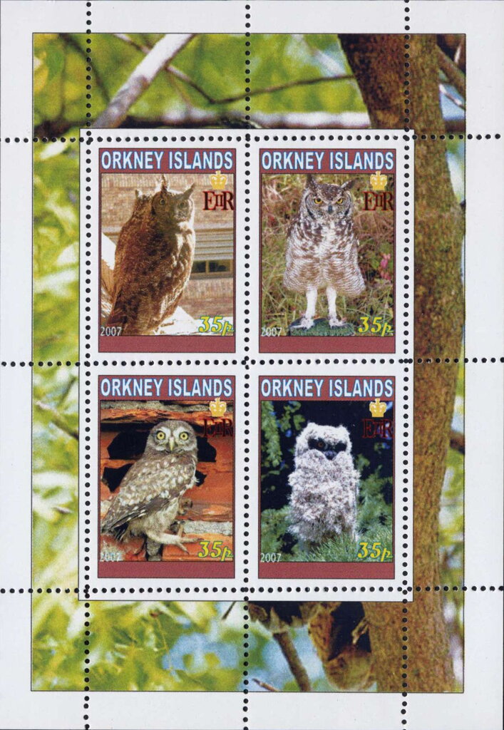 Owls