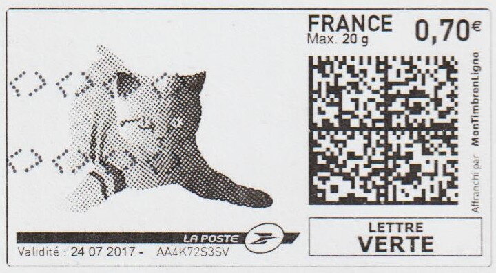 Cat 1