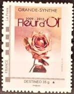 Grand Synthe Fleur d'Or