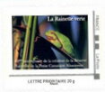 Green Tree Frog