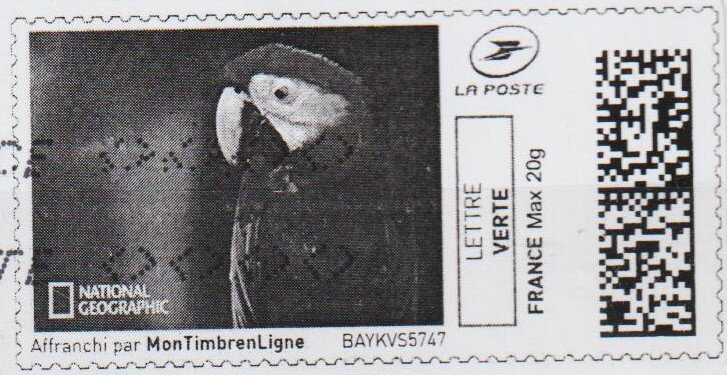 Macaw 2 in black
