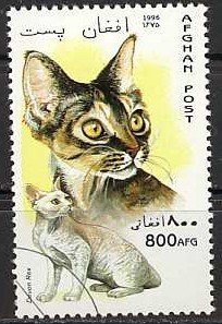 Stamp, Devon Rex (Felis silvestris catus), Afghanistan,  , Cats