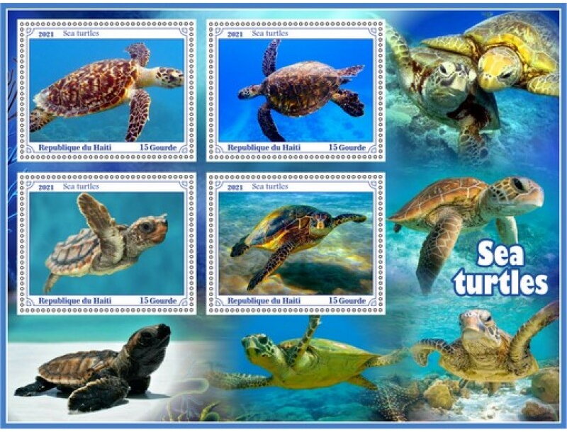 Fauna Sea turtle
