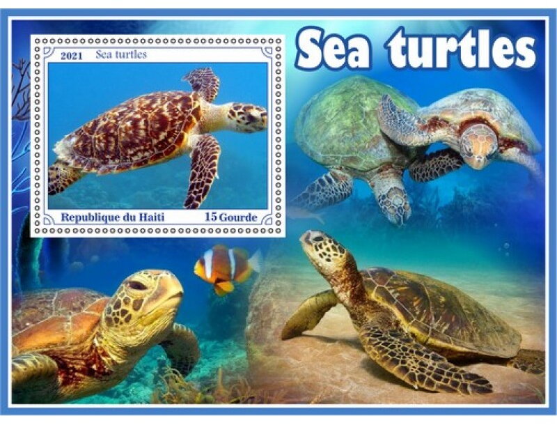 Fauna Sea turtle