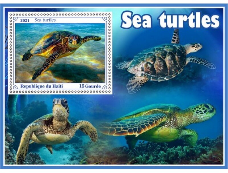 Fauna Sea turtle