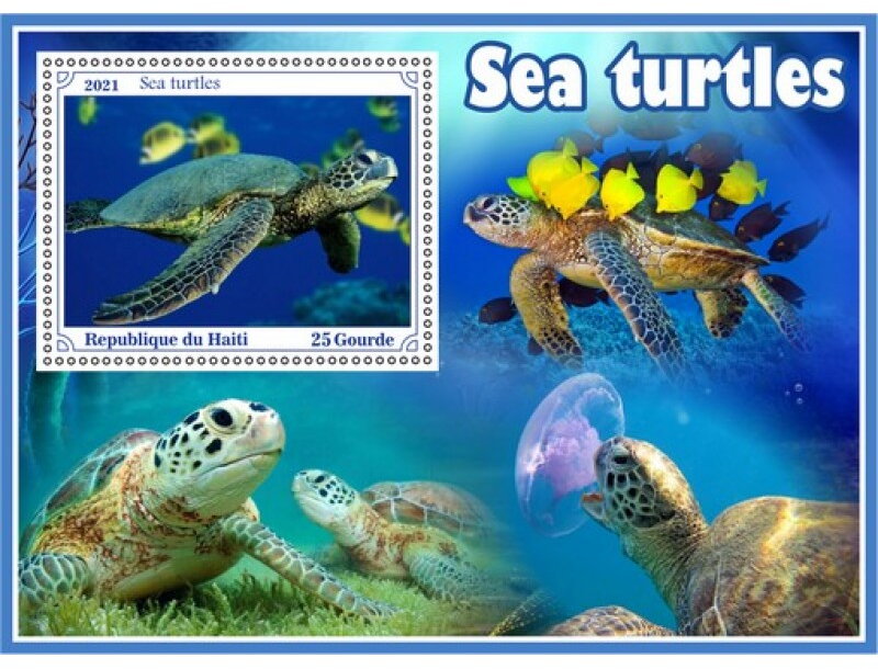 Fauna Sea turtle