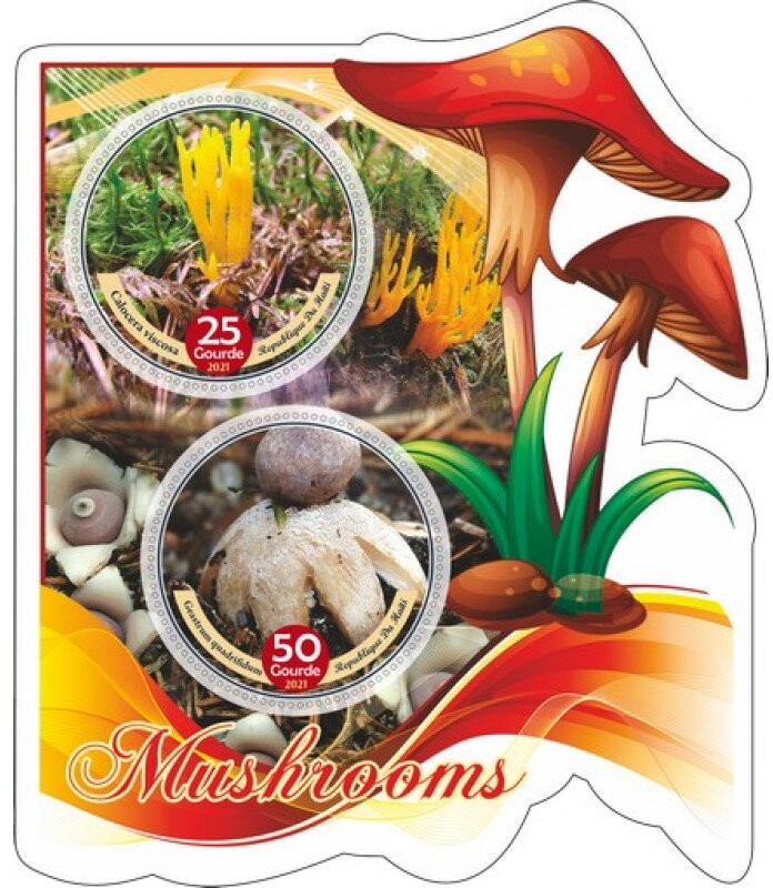 Mushrooms