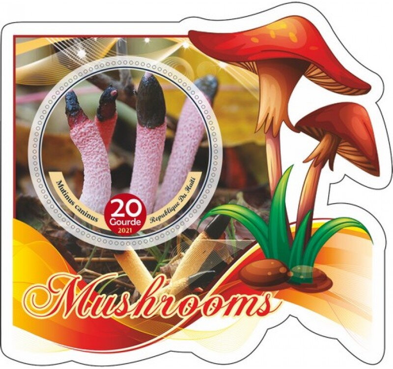 Mushrooms