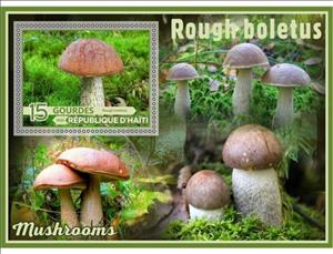 Souvenir Sheet, Mushrooms Rough boletus, Haiti,  