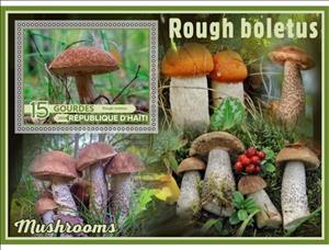 Souvenir Sheet, Mushrooms Rough boletus, Haiti,  