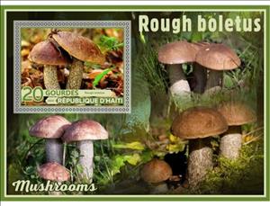 Souvenir Sheet, Mushrooms Rough boletus, Haiti,  