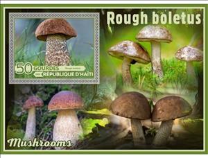 Souvenir Sheet, Mushrooms Rough boletus, Haiti,  