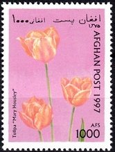 Stamp, Tulipa, Afghanistan,  , Flowers, Tulips