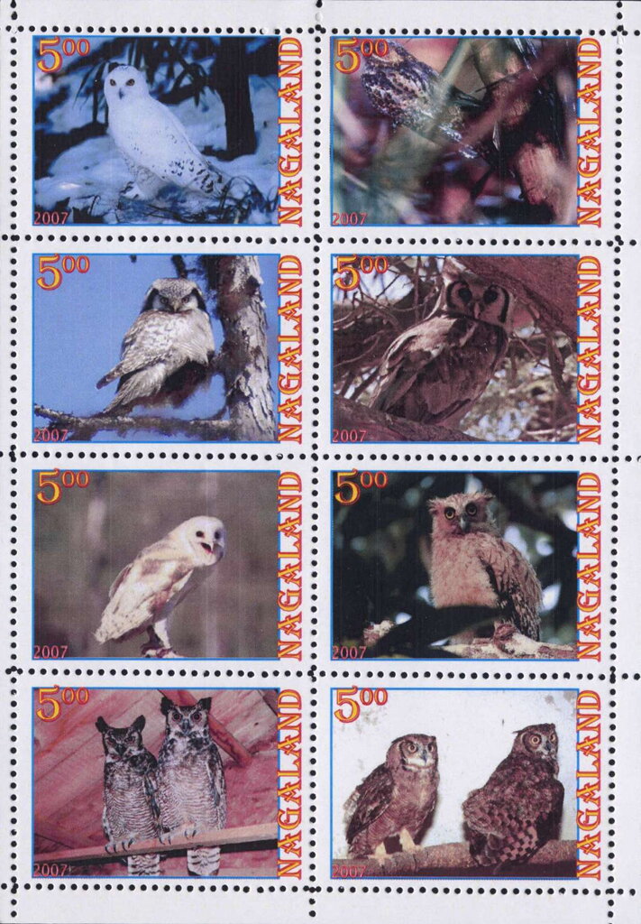 Owls