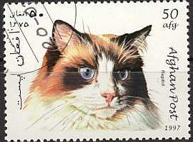 Stamp, Ragdoll (Felis silvestris catus), Afghanistan,  , Cats