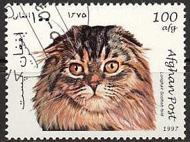 Stamp, Scottish Fold (Felis silvestris catus), Afghanistan,  , Cats