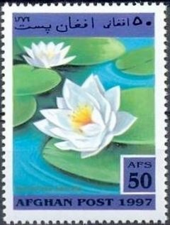 Stamp, Nymphaea odorata, Afghanistan,  , Flowers, Plants (Flora), Aquatic Plants