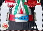 Kamen Rider