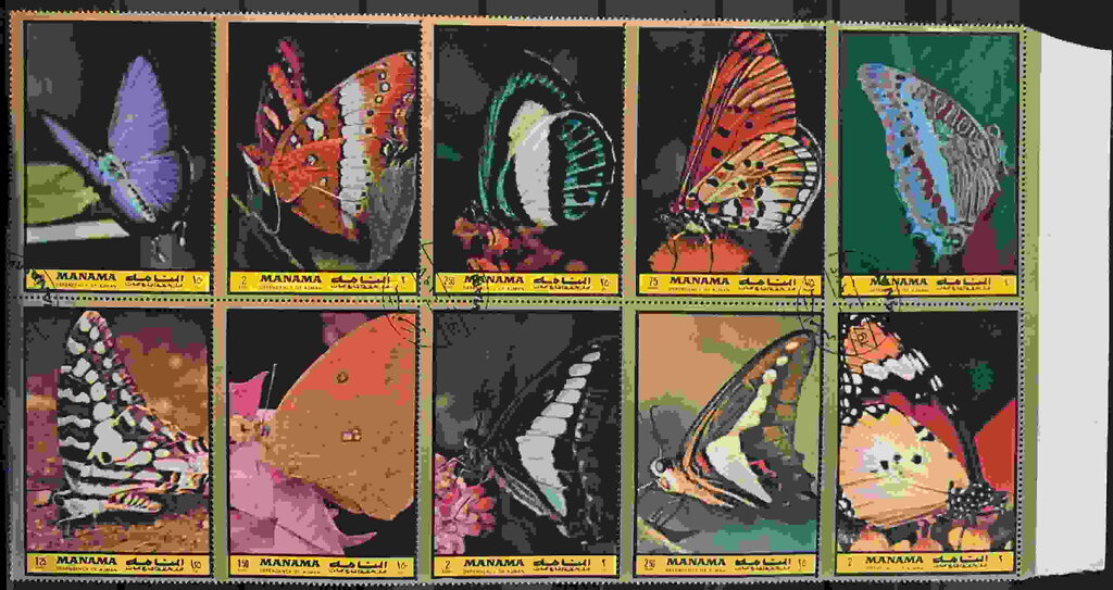 Butterflies (large)