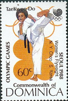 Taekwondo