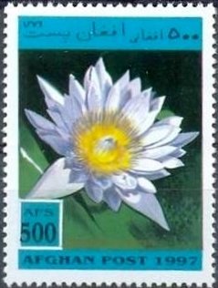 Stamp, Nymphaea Capensis, Afghanistan,  , Flowers, Plants (Flora), Aquatic Plants