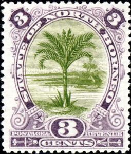 Sago Palm