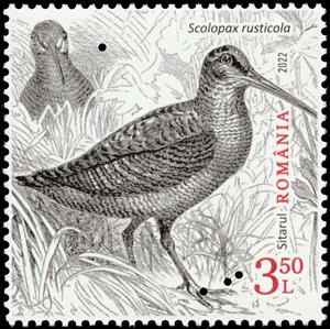 Stamp, Eurasian Woodcock (Scolopax rusticola) Type II, Romania,  , Animals (Fauna), Birds