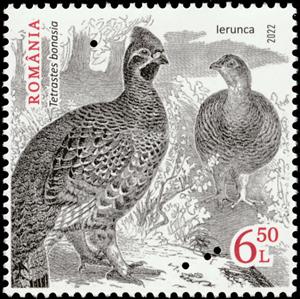 Stamp, Hazel Grouse (Tetrastes bonasia) Type II, Romania,  , Animals (Fauna), Birds