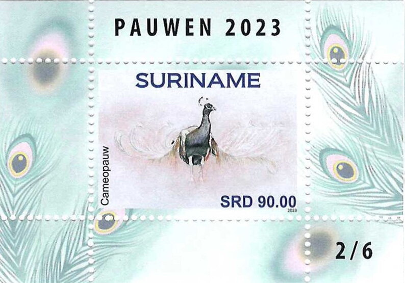 Cameo Peafowl (Pavo cristatus)