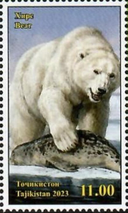 Polar Bear