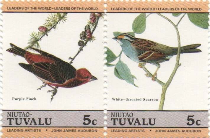 Birds