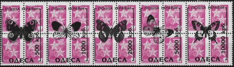 Butterflies