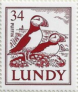 Definitive, pair of Puffins