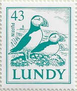 Definitive, pair of Puffins