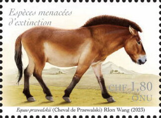 Stamp, Przewalski Horse (Equus przewalskii), UNO Geneva,  , Horses