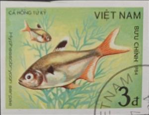 Stamp, Serpae Tetra (Hyphessobrycon serpae), Vietnam,  , Animals (Fauna), Fishes