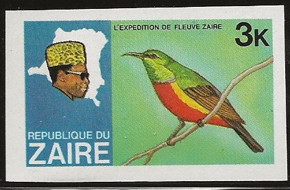 Regal Sunbird (Nectarinia regia)