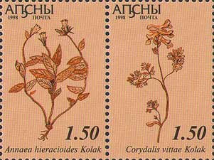Se-tenant, Annaea hieracioides and Corydalis vittae, Abkhazia,  , Plants (Flora)