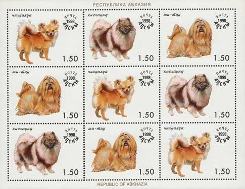 Dogs