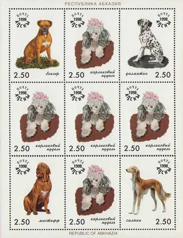 Dogs