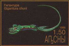 Gigantura chuni