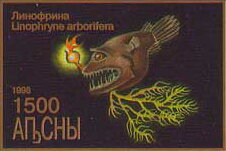Stamp, Linophryne arborifera, Abkhazia,  , Fishes