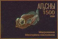 Stamp, Macropinna microstoma, Abkhazia,  , Fishes