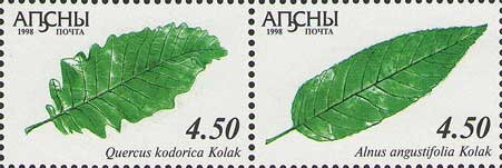 Se-tenant, Quercus kodorica and Alnus angustifolia, Abkhazia,  , Plants (Flora)