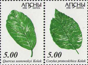 Quercus sosnowskyi and Corylus protocolchica