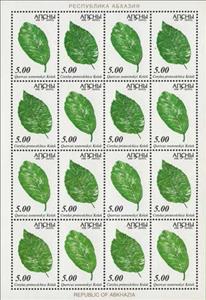 Full Pane, Quercus sosnowskyi and Corylus protocolchica, Abkhazia,  , Plants (Flora)