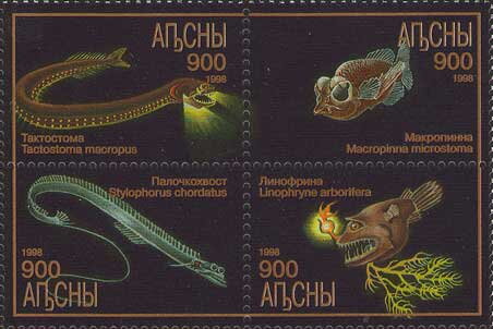 Tropical Fishes