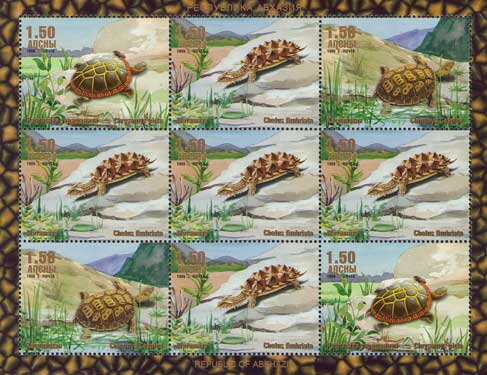 Turtles