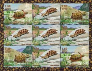 Mini Sheet, Turtles, Abkhazia,  , Animals (Fauna), Reptiles, Sea Life, Turtles